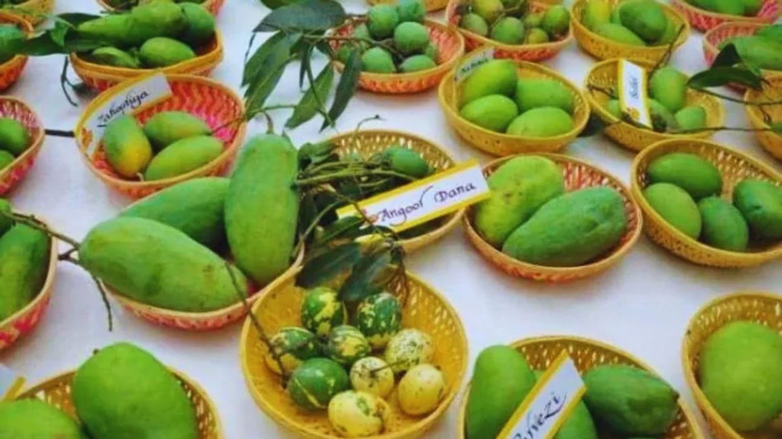 रायपुर में राष्ट्रीय आम महोत्सव