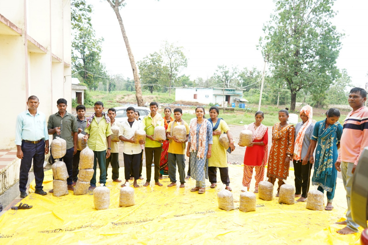 सुकमा: मशरूम उत्पादन के प्रशिक्षण से आत्मनिर्भर बन रहे ग्रामीण