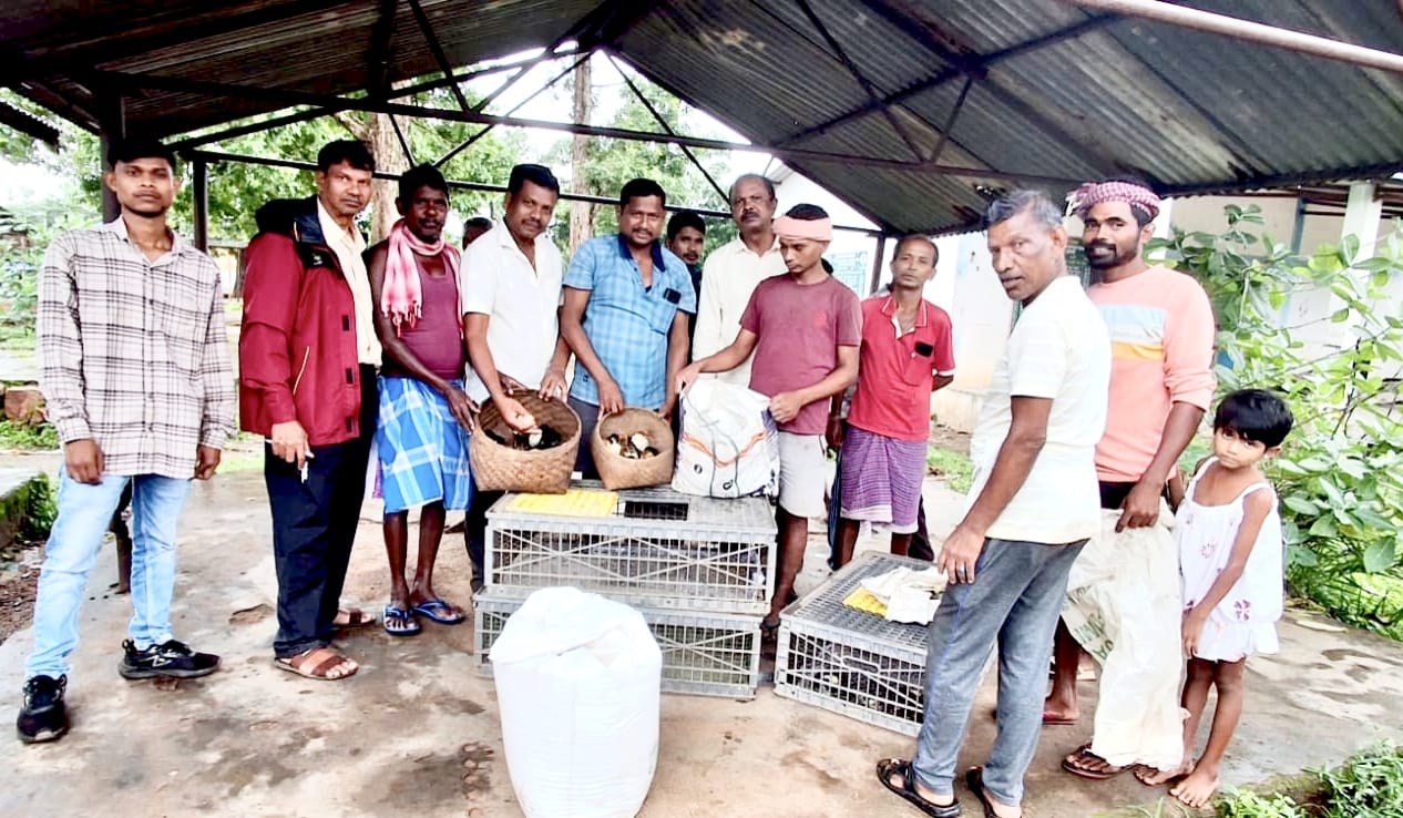 तोंगपाल क्षेत्र के ग्रामीण परिवारों के लिए कुक्कुट पालन अब आय का नया साधन