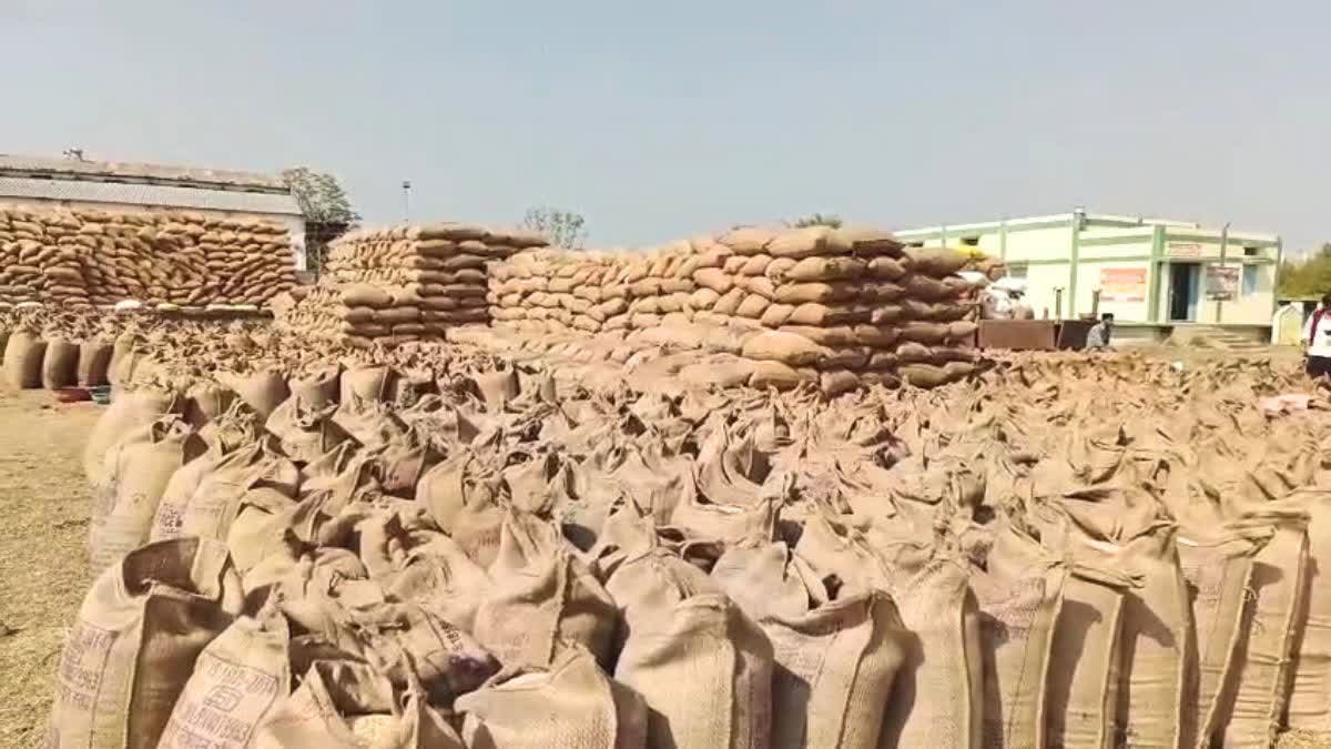 पोस्ट ऑफिस में नौकरी दिलाने का झांसा देकर लगाया ढाई करोड़ का चूना 