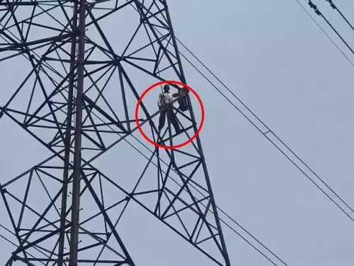न्याय नहीं मिलने पर हाईटेंशन टावर पर चढ़ा ग्रामीण, मनाने पहुंचे अफसर