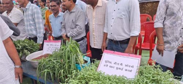 हरी खाद से खेती में हो रहा है बड़ा बदलाव, कम लागत में मिल रहा बेहतर मुनाफा 