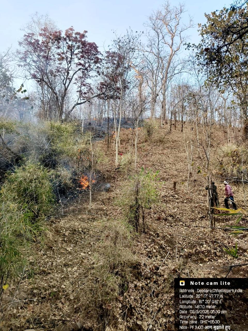 फायर अलर्ट सिस्टम बना 25 हजार हेक्टेयर क्षेत्र में मजबूत सुरक्षा कवच